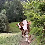 Tourist Farm Gradisnik
