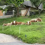 Tourist Farm Gradisnik *