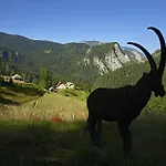 Tourist Farm Gradisnik