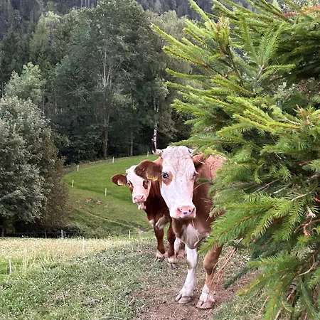 Tourist Farm Gradisnik
