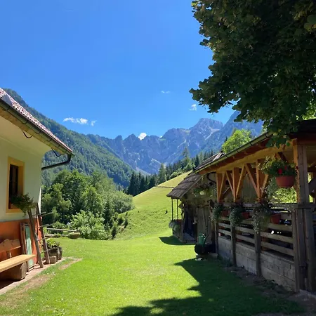 Tourist Farm Gradisnik *