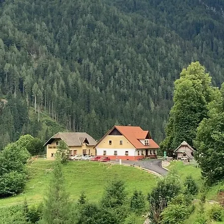 Tourist Farm Gradisnik * Solcava