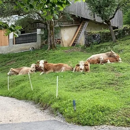 Tourist Farm Gradisnik *