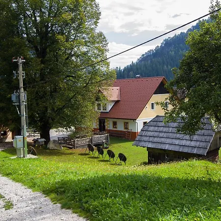 Apartament Tourist Farm Gradišnik Solčava