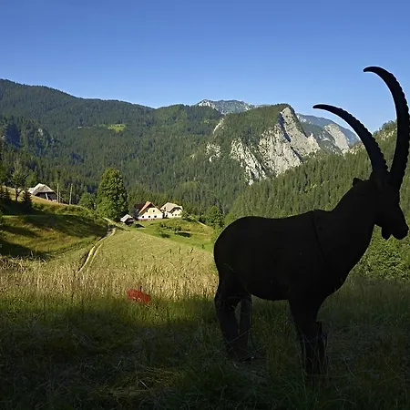 Tourist Farm Gradisnik
