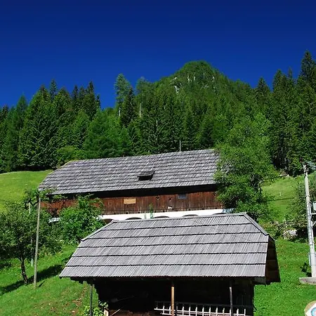 Apartman Tourist Farm Gradisnik