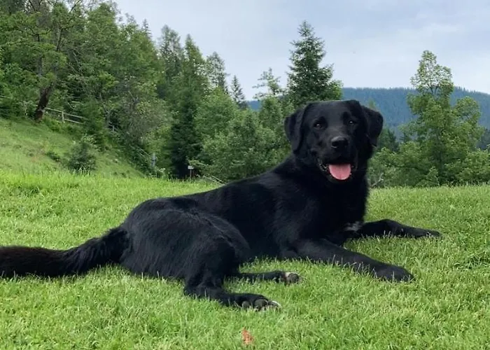 شقة Tourist Farm Gradisnik