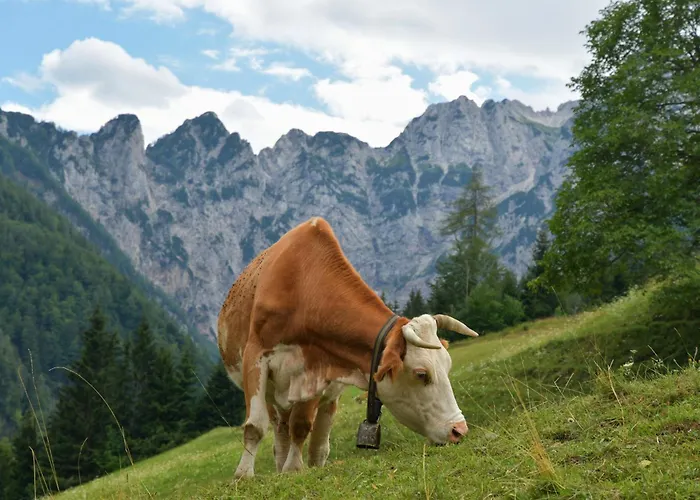 公寓 Tourist Farm Gradisnik