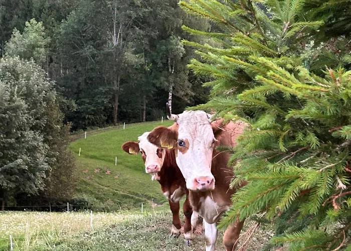 Tourist Farm Gradisnik