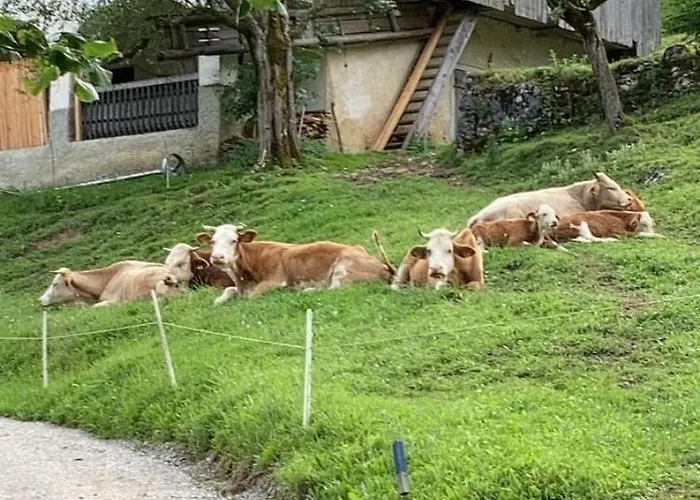 Tourist Farm Gradisnik *
