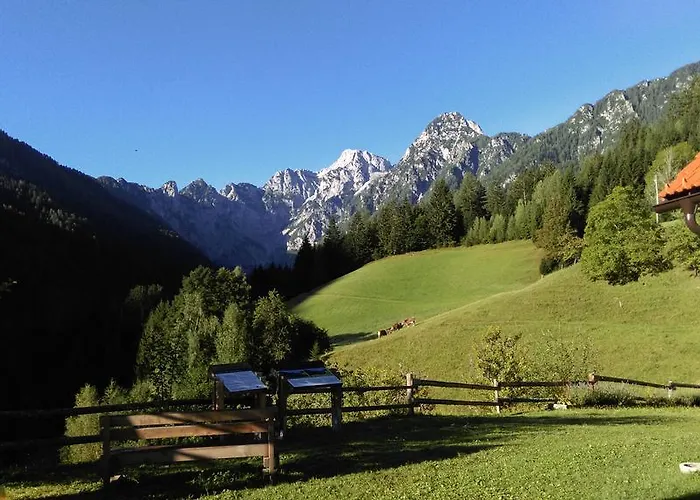 公寓 Tourist Farm Gradisnik Solčava