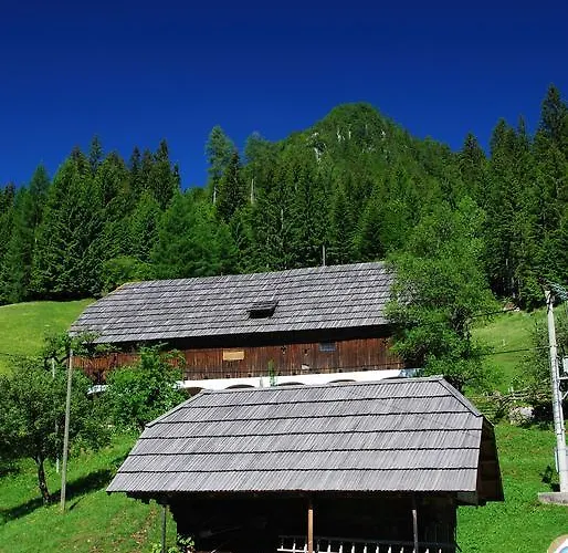 公寓 Tourist Farm Gradisnik